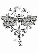 Dragonfly Coloring Pages Tattoo Adults Dragonflies Lineart Background Drawing Libellule Moon Designs Deviantart Colouring Mandala Adult Color Drawings Flower Etching sketch template