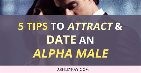 how to attract and keep an alpha male 8 tips about the attractive