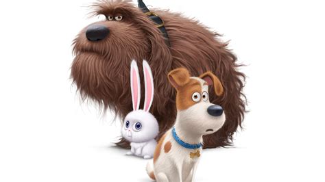 secrete life  pets  dogs hd movies  wallpapers images