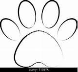 Zampa Animale Spuren Paw Kontur Katze Hunde Pfotenabdruck Tieres Footprint Contorno Pfote Alamy Zeichen Impronta Gatto Umrisse Leitung Vettore sketch template