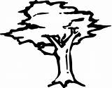 Silueta Drzewo Pohon Druku Arboles Sketsa Kolorowanka Drzewa Szablon Raseone Wietrze Arbor Drzewem Pod Liana Kolorowanki Detiru sketch template