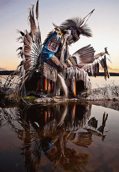 odin s grey hawk native american beauty native american art native