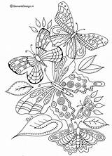 Coloring Pages Kleurplaat Volwassenen Dieren Voor Butterfly Vlinders Detailed Butterflies Print Adult sketch template