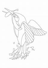 Kingfisher Coloring Colouring Pages Sheet Print Printable Getcolorings Adults Color Mental Health sketch template