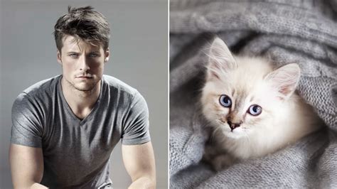 Pin Ups V Kittens Who Would You Rather Cuddle