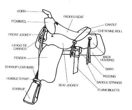 western saddle parts model horse tack making pinterest western saddles horse tack  saddles