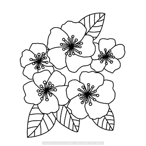 afbeelding kleurplaat bloemen