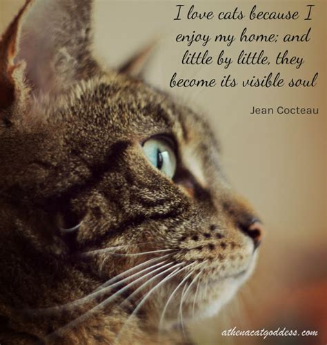 Athena Cat Goddess Wise Kitty A Cat Quote For Wordless Whiskers Wednesday