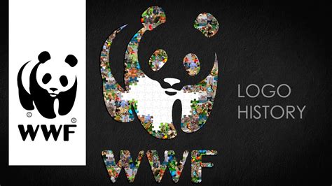 wwf logo symbol wwf history and evolution youtube
