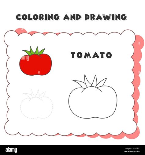 coloring  drawing book element tomato tomato coloring page