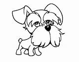 Schnauzer Coloring Colorear Para Perro Miniature Outline Dibujos シュナウザー Pages Line Coloringcrew Drawing Dogs Dibujo Dog Puppy Mini イラスト ぬりえ sketch template