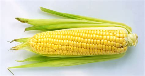 husk    fresh summer corn huffpost