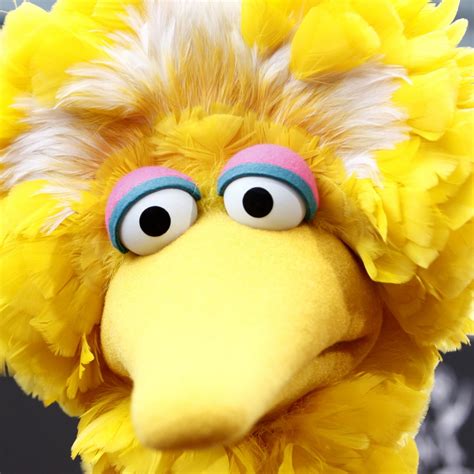 big deal pbs  big bird  political symbol  election season