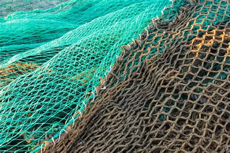 tons  fishing nets retrieved  pacific ocean cleanup fox