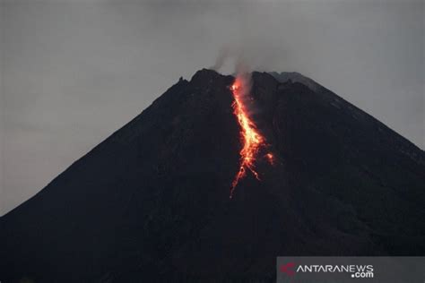 Mt Merapi Spews Hot Lava For 10 Times Antara News