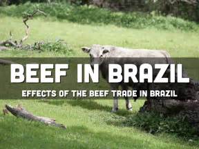 Beef In Brazil By Lilyhbks