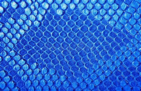 blue snake skin   background stock photo image  material