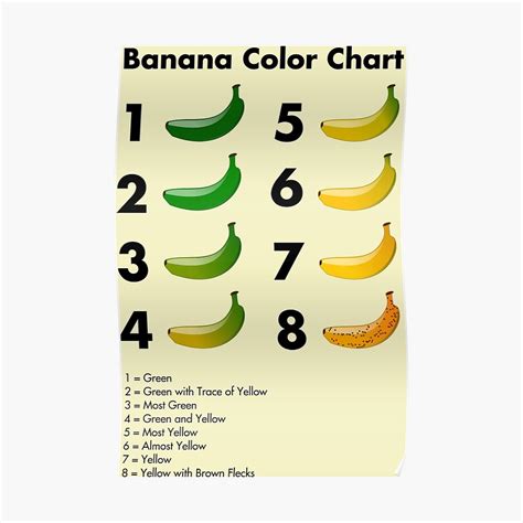 banana color chart poster  enjoyriot redbubble