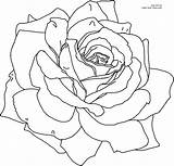 Flower Coloring Printable Sheets Rose Drawing sketch template