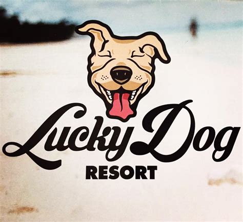 lucky dog resort
