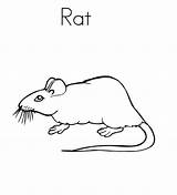 Rat Coloring Pages Printable Kids Bestcoloringpagesforkids sketch template