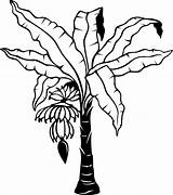 Tree Drawing Clipart Cliparts Library Banana Coloring Pages Outline sketch template