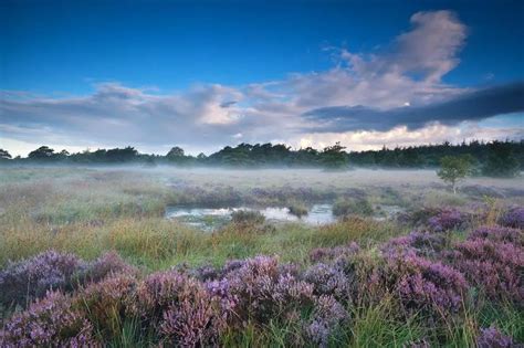 Dwingelderveld Beautiful Landscapes Polder City Landscape Space