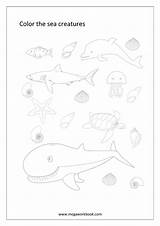 Animals Coloring Sea Pages Miscellaneous Animal Water Birds Megaworkbook Sheet Sheets Insects sketch template