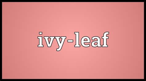 ivy leaf meaning youtube