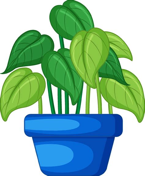 plant   pot  cartoon  vector art  vecteezy