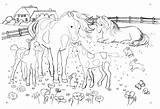 Pferde Ausmalbilder Horse Coloring Pages Schleich Schöne Kinder Unicorn Tiere Für Malvorlagen Template Printables sketch template