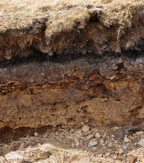 filelayers  soil  dartmoorjpg