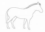 Outline Animal Outlines Printable Stripes Clipart Coloring Clip Pages Zebra Without Drawings Animals Drawing Arty Zebras Template Horse Print Library sketch template