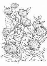 Coloring Pages Fairies Difficult Fairy Sheets Adult Garden Book Adults Colouring Printables Flower Colors Hard Kids Color Print Fantasy Colours sketch template