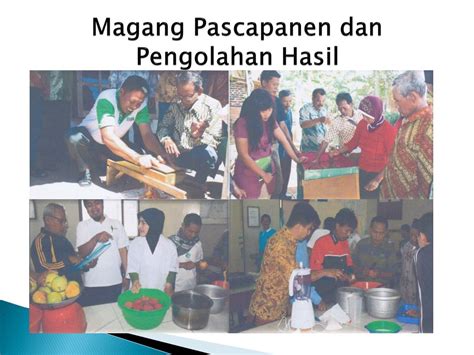 Ppt Pelaksanaan Pug Di Dinas Pertanian Tph Provinsi Jawa