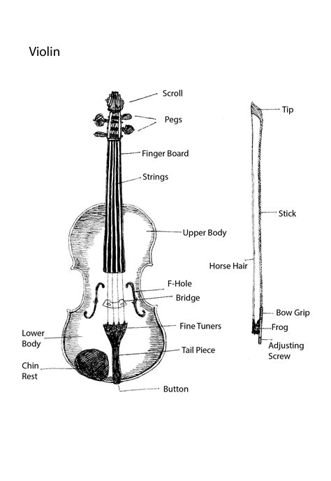 violin parts  printable diagram education pinterest violin lessons instruments