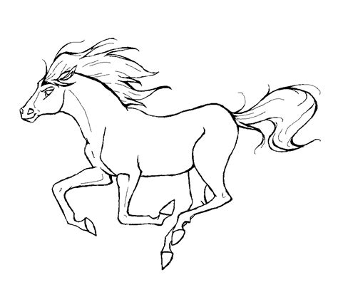 galloping horse animal coloring pages  kids  print color