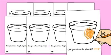 colouring plant pots teacher