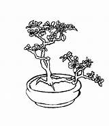 Bonsai Coloring Toupty Buttons Browser Menu Use Work If Do sketch template