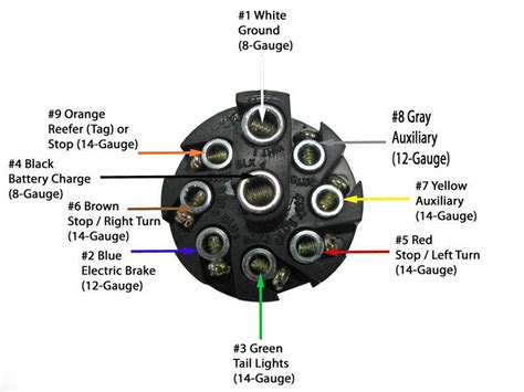 pin trailer wiring diagram picture