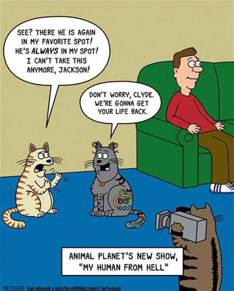 funny cat cartoons fun