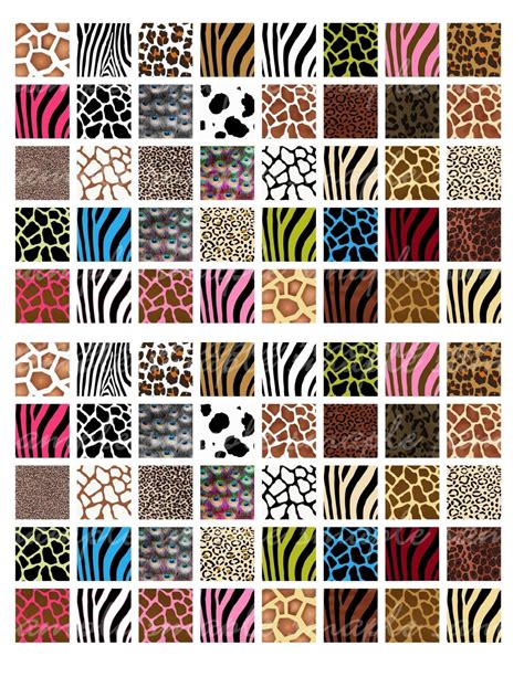 animal prints digital collage sheet     cupcakecutiees