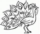 Burung Mewarnai Merak Peacock Sketsa Tk Kakak Paud Aneka Wheeler Mudah Inspirasi Coloringme Berbagai Macam Binatang Temukan sketch template