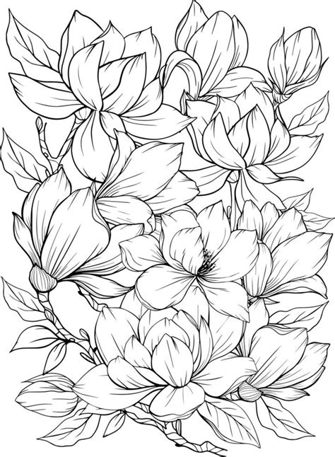 coloring page  magnolia  leaves vector page  coloring