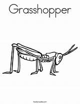 Grasshopper Gafanhoto Pintarcolorir Noodle Twisty Clipartmag sketch template