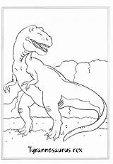 Dino Kleurplaat Dinosaure Coloriages Dinosaures Szinezo Kepek Dinosaurios Kiválasztása Tábla Kleurplaten Szinezok Liens Commerciaux sketch template