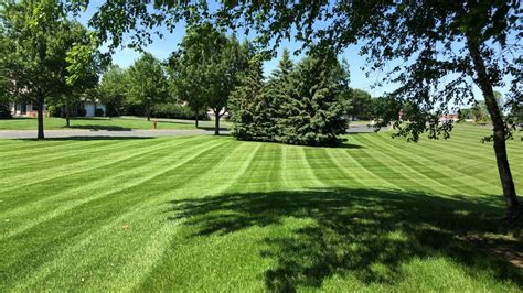 lawn care services precision landscaping construction