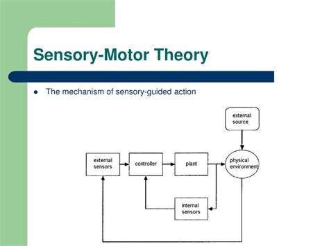 sensory motor theory  rhythm time perception  beat induction powerpoint
