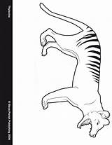 Coloring Thylacine Color Pages Sheet Animals Printable sketch template