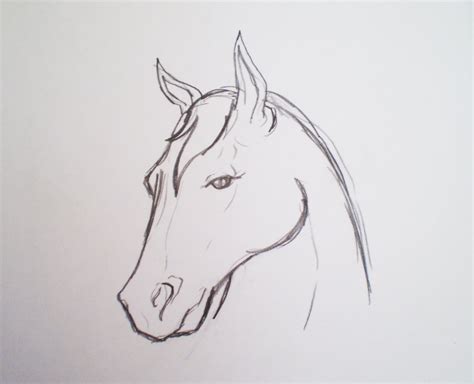 horse sketch simple  paintingvalleycom explore collection  horse